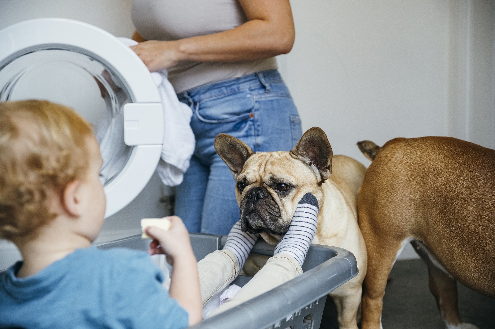 Woman filling washing machine while toddler plays with dog