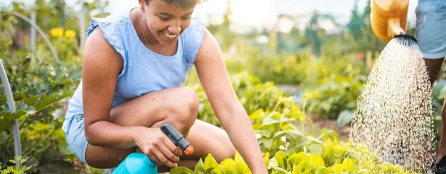 Person watering plants with watering can
