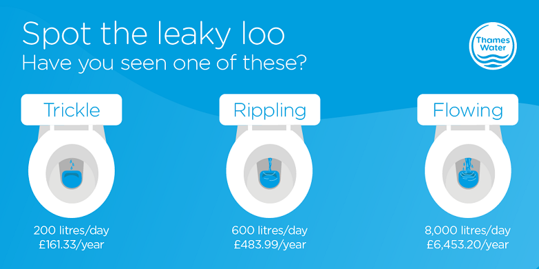 Diagram explaining what a leaky loo looks like